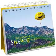 Bild 04